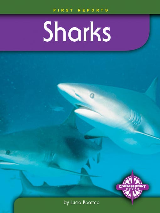 Title details for Sharks by Lucia Raatma - Wait list